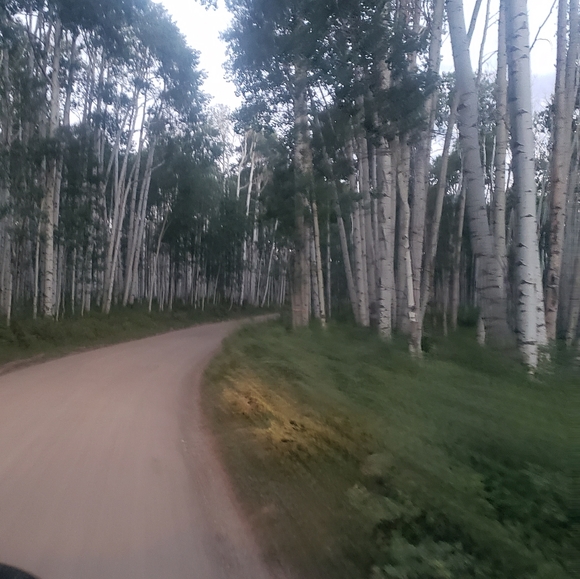 Meet your Posher - Picture 4 of 16